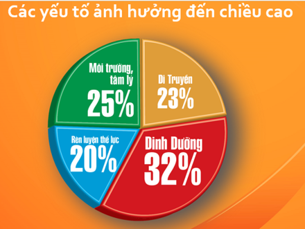 Nghiên cứu ghi nhận chế độ dinh dưỡng đóng vai trò quyết định chiều cao của con người. Kết quả này được công bố tại lễ phát động chương trình